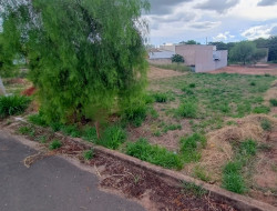 Lote para venda 200m² com 0 quarto em Dracena-SP