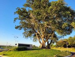 Lote para venda 200m² com 0 quarto em DRACENA-SP
