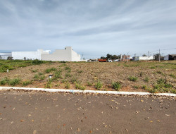 Lote para venda 253m² com 0 quarto em Dracena-SP